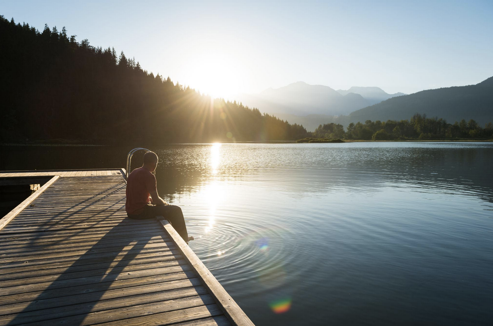 Educator's Pause